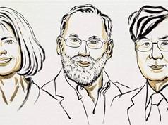 Giải Nobel Y sinh 2025: Khám phá cơ chế điều hòa hệ miễn dịch